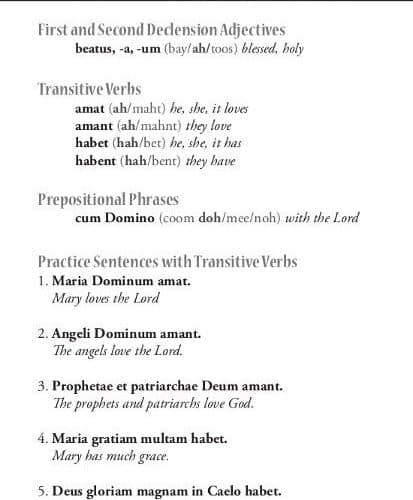 Level Two: Vita Mariae Reader