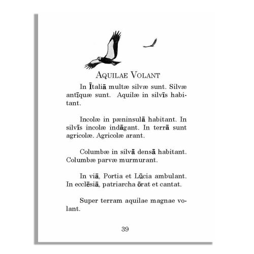 Liber Primus Puella Romana Reader